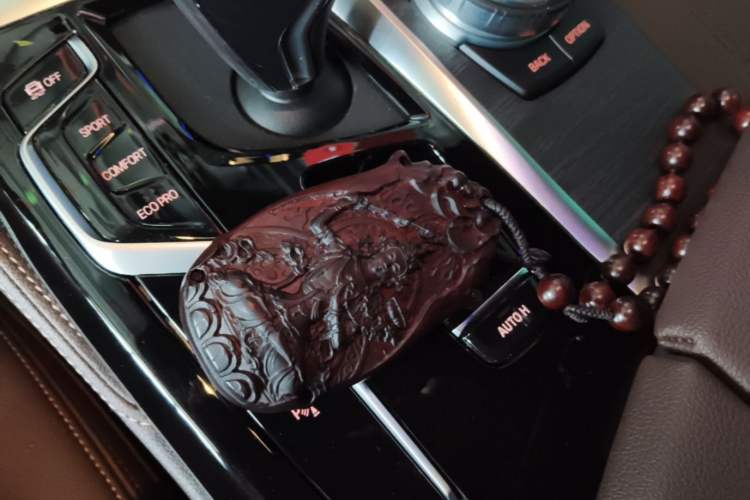 Used BMW 5 Series 2021 530Li Leading Model M Sport Package Interior 1