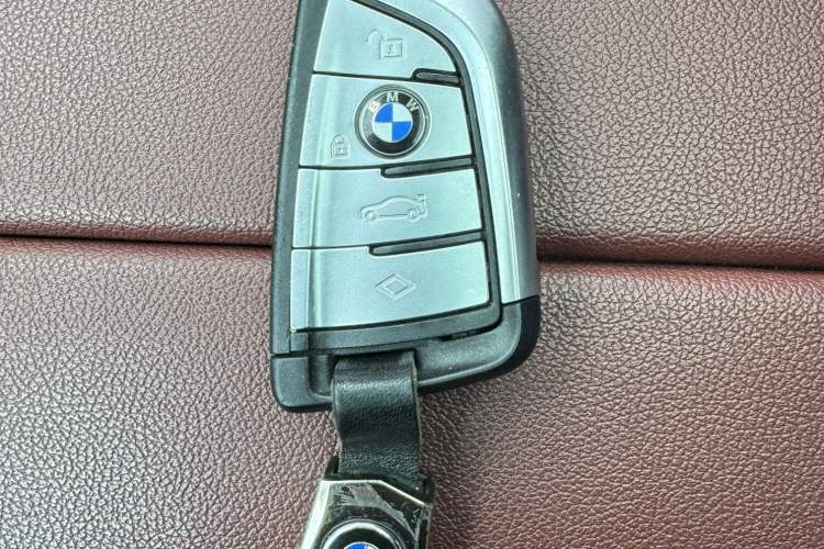 Used BMW 5 Series 2021 Updated Version 525Li Luxury Package Interior 3