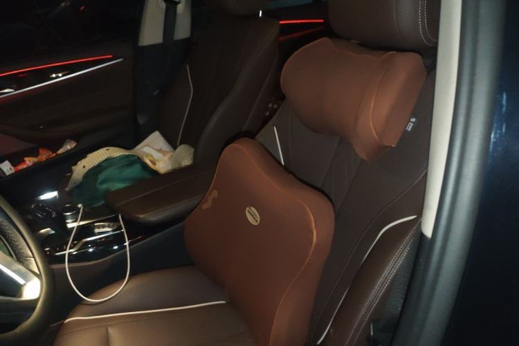 Used BMW 5 Series 2021 Updated Version 525Li Luxury Package Left Front Seat