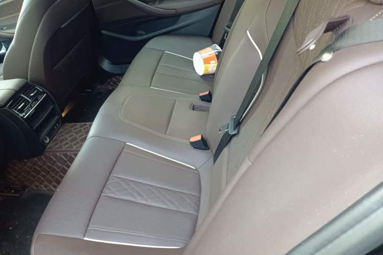 Used BMW 5 Series 2021 530Li xDrive Luxury Package Left Rear Seat