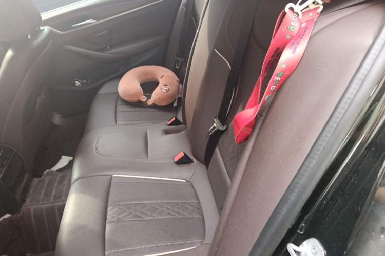 Used BMW 5 Series 2021 530Li Leading Luxury Package Left Rear Seat