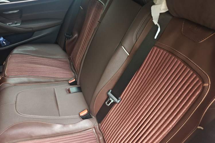 Used BMW 5 Series 2021 530Li Leading Luxury Package Left Rear Seat