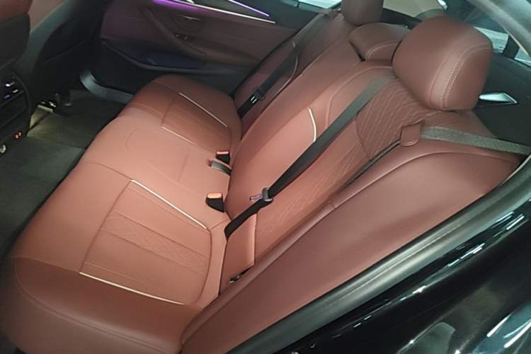 Used BMW 5 Series 2021 530Li Leading Luxury Package Left Rear Seat