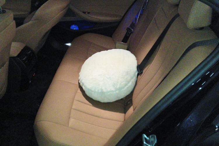 Used BMW 5 Series 2021 530i M Sport Package Left Rear Seat