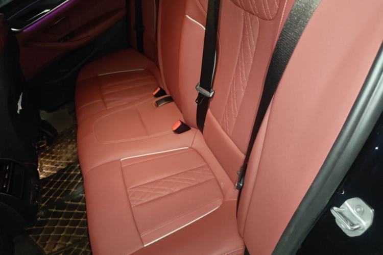 Used BMW 5 Series 2021 530Li Leading Model M Sport Package Left Rear Seat