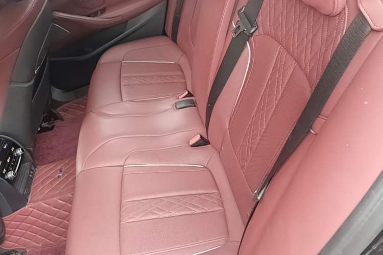 Used BMW 5 Series 2021 530Li Luxury Edition Premium Package Left Rear Seat