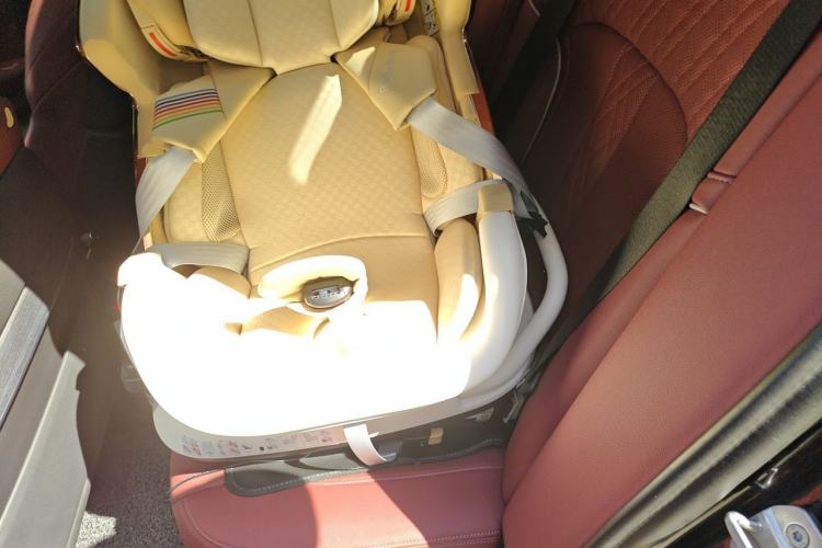 Used BMW 5 Series 2021 530Li Luxury Edition M Sport Package Left Rear Seat