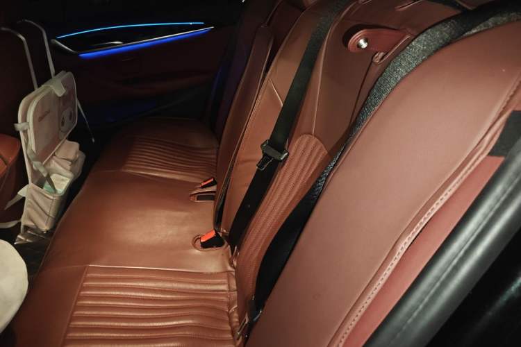 Used BMW 5 Series 2021 530Li Leading Model M Sport Package Left Rear Seat