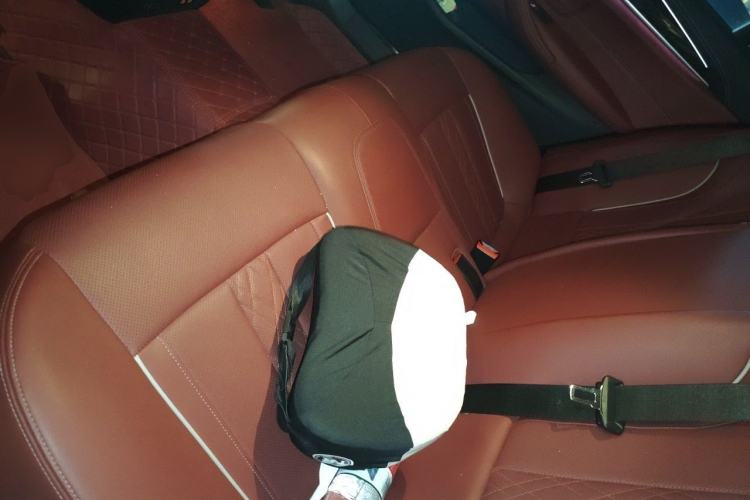 Used BMW 5 Series 2021 Updated Version 525Li Luxury Package Left Rear Seat