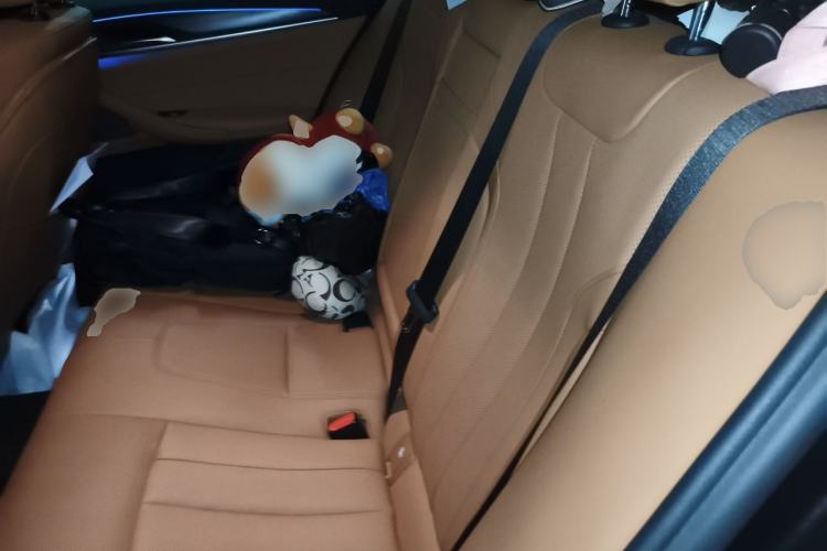 Used BMW 5 Series 2021 530i M Sport Package Left Rear Seat