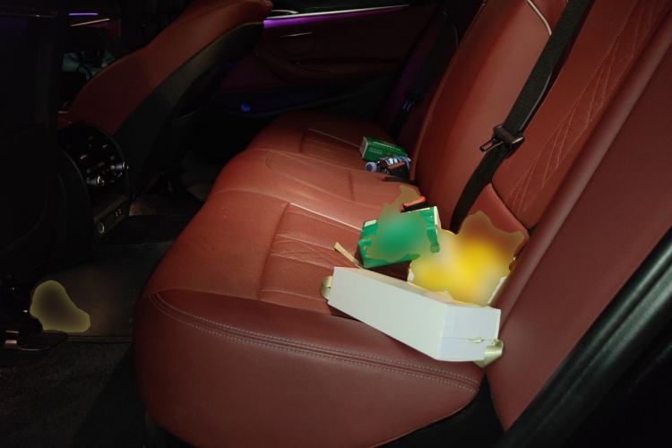 Used BMW 5 Series 2021 530Li Leading Model M Sport Package Left Rear Seat