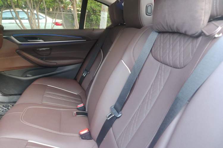 Used BMW 5 Series 2021 530Li Leading Luxury Package Left Rear Seat