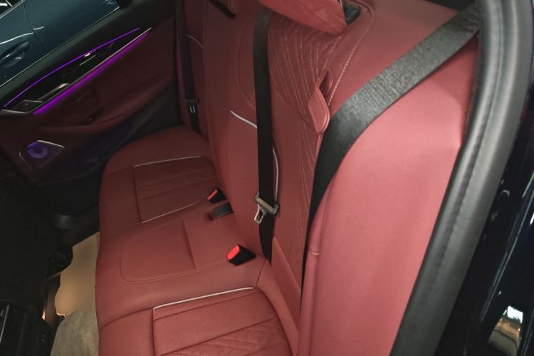Used BMW 5 Series 2021 525Li M Sport Package Left Rear Seat
