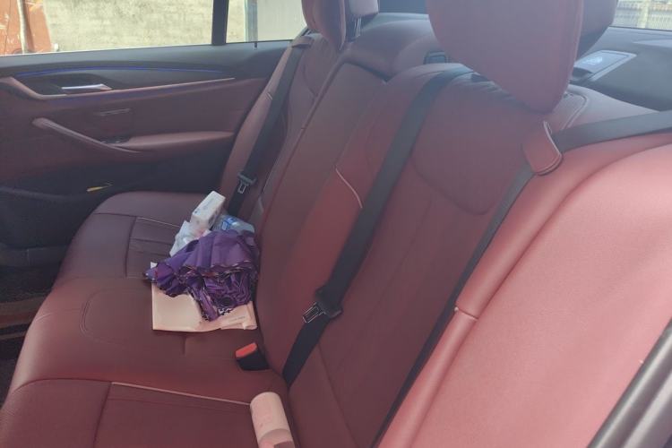 Used BMW 5 Series 2021 530Li Leading Luxury Package Left Rear Seat