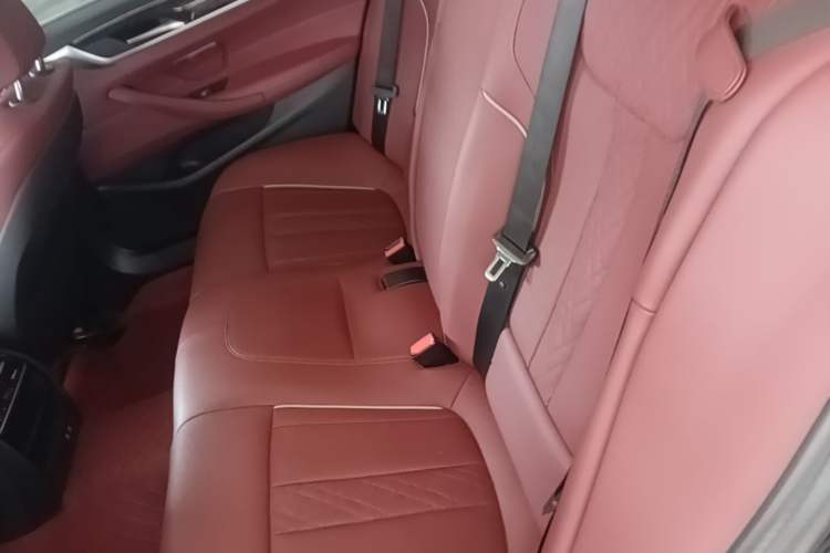 Used BMW 5 Series 2021 Updated Version 525Li Luxury Package Left Rear Seat