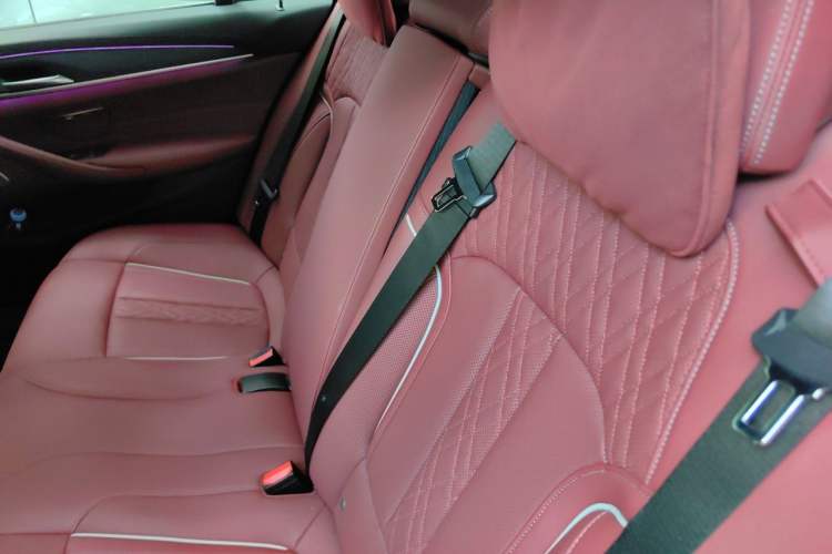 Used BMW 5 Series 2021 530Li Luxury Edition M Sport Package Left Rear Seat