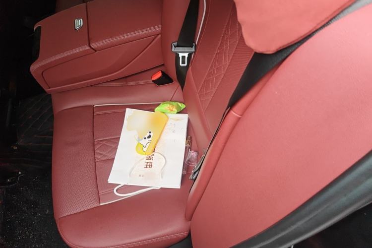 Used BMW 5 Series 2021 530Li Leading Model M Sport Package Left Rear Seat
