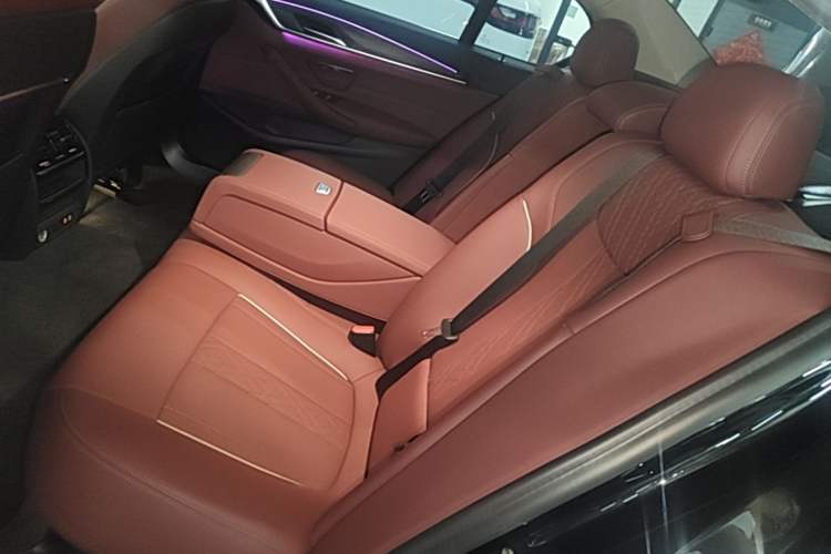 Used BMW 5 Series 2021 530Li Leading Luxury Package Left Rear Seat