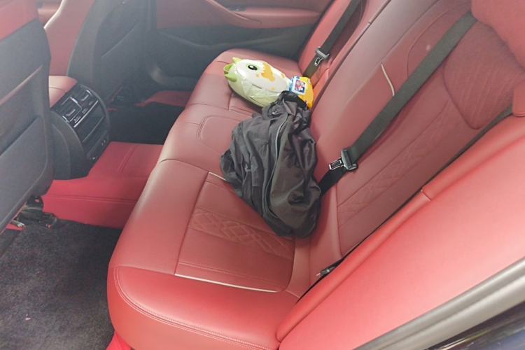 Used BMW 5 Series 2021 Facelifted 530Li Leading Edition M Sport Package Left Rear Seat