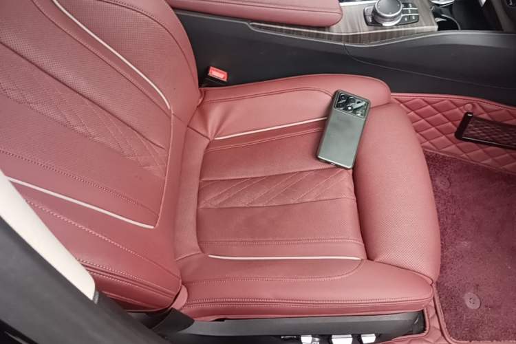 Used BMW 5 Series 2021 530Li Luxury Edition Premium Package Right Front Seat