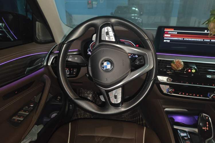 Used BMW 5 Series 2021 530Li Leading Luxury Package Steering Wheel