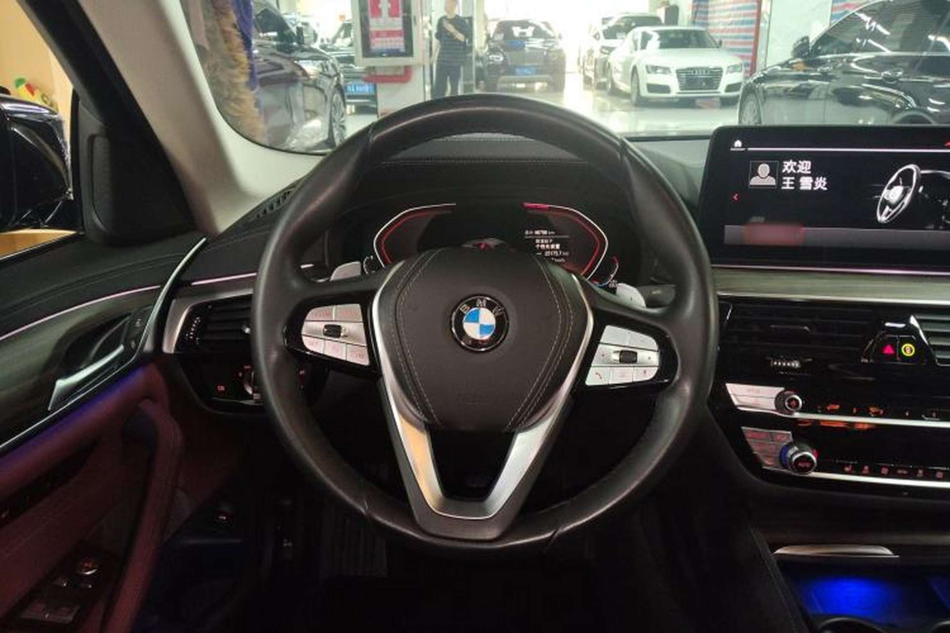 Used BMW 5 Series 2021 530Li Leading Luxury Package Steering Wheel