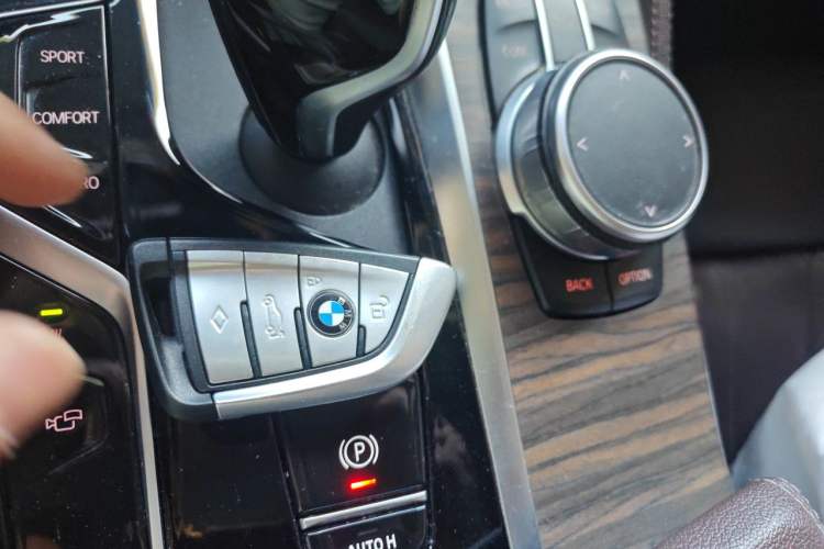 Used BMW 5 Series 2021 530Li Luxury Edition Premium Package Vehicle Key