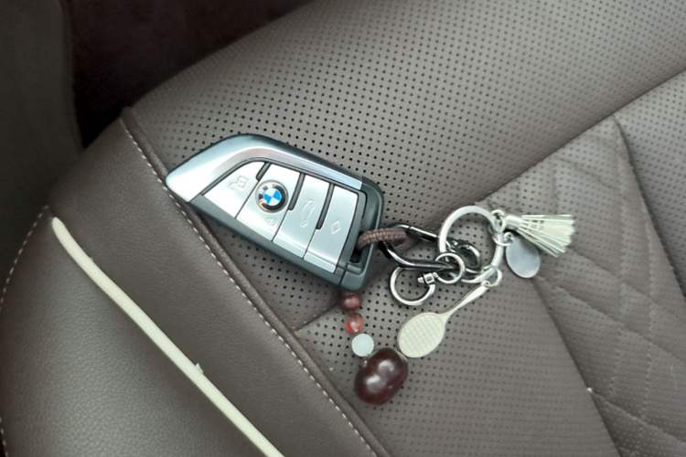 Used BMW 5 Series 2021 530Li Leading Model M Sport Package Vehicle Key