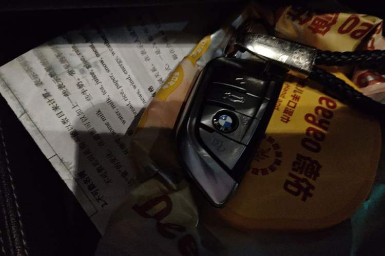 Used BMW 5 Series 2021 530Li Leading Model M Sport Package Vehicle Key