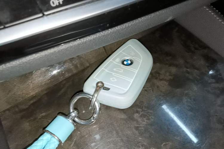 Used BMW 5 Series 2021 525Li Luxury Package Vehicle Key