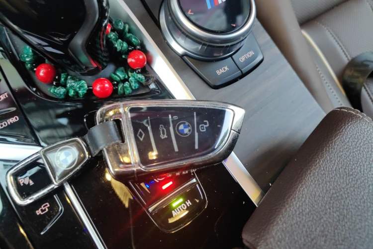 Used BMW 5 Series 2021 Updated 530Li Luxury Package Premium Edition Vehicle Key