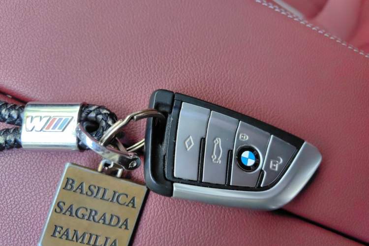 Used BMW 5 Series 2021 530Li Luxury Edition M Sport Package Vehicle Key