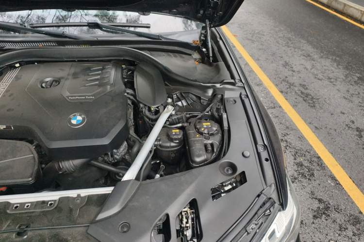 Used BMW 5 Series 2021 530Li Luxury Edition M Sport Package Engine Bay Left
