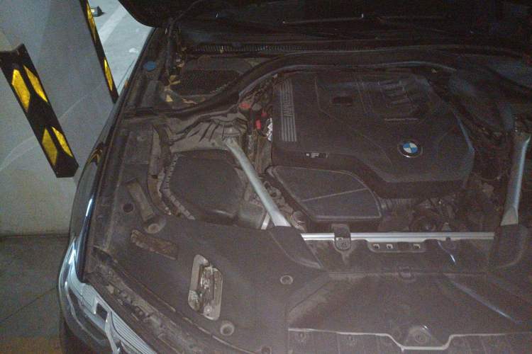 Used BMW 5 Series 2021 530Li Luxury Edition M Sport Package Engine Bay Right