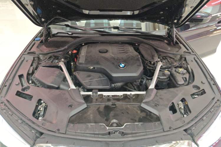 Used BMW 5 Series 2021 530Li xDrive M Sport Package Engine Bay
