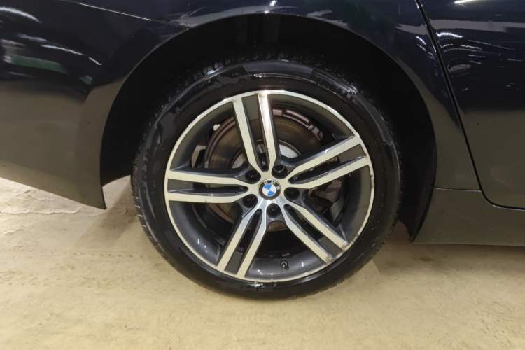 Used BMW 5 Series 2021 530Li Leading Luxury Package Exterior 5