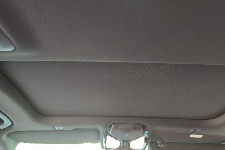Used BMW 5 Series 2021 530Li Luxury Edition M Sport Package Headliner