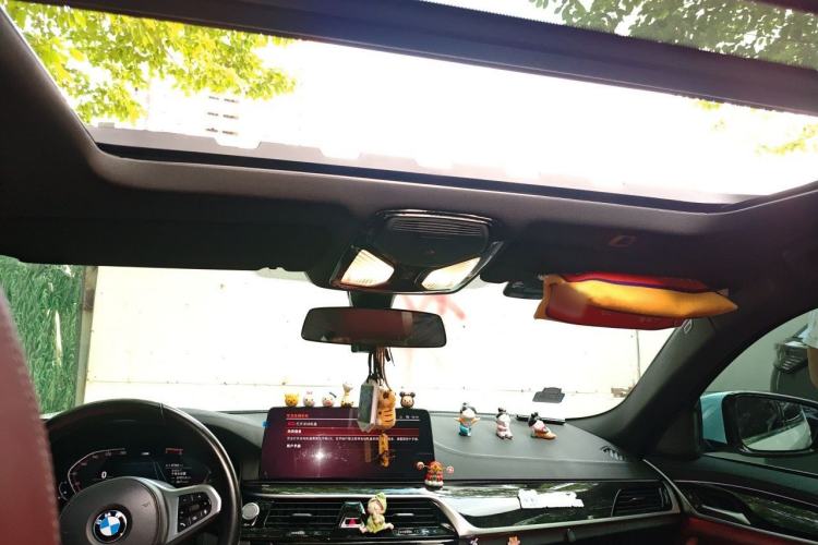 Used BMW 5 Series 2021 525Li Luxury Package Headliner