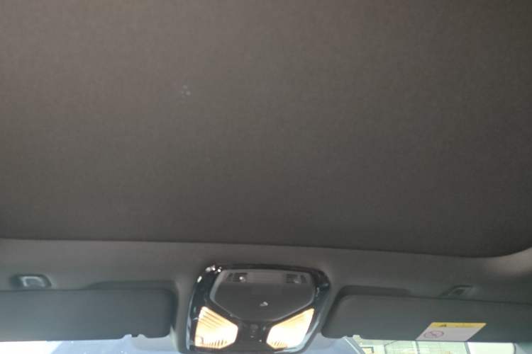Used BMW 5 Series 2021 Restyled 530Li Luxury Edition M Sport Package Headliner
