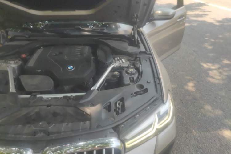 Used BMW 5 Series 2021 530Li Luxury Edition M Sport Package Engine Bay Left