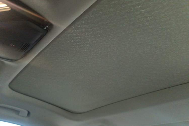 Used BMW 5 Series 2021 530Li Leading Luxury Package Headliner