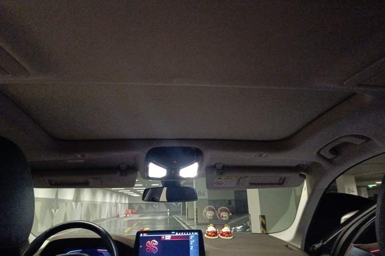 Used BMW 5 Series 2021 Restyled 530Li Leading Edition Luxury Package Headliner