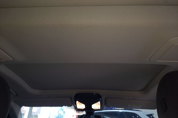 Used BMW 5 Series 2021 530Li Leading Luxury Package Headliner