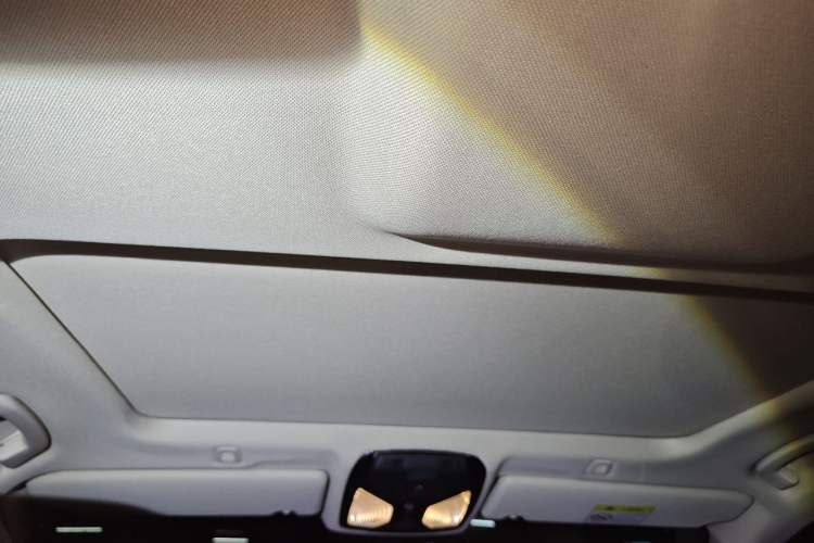Used BMW 5 Series 2021 525Li Luxury Package Headliner
