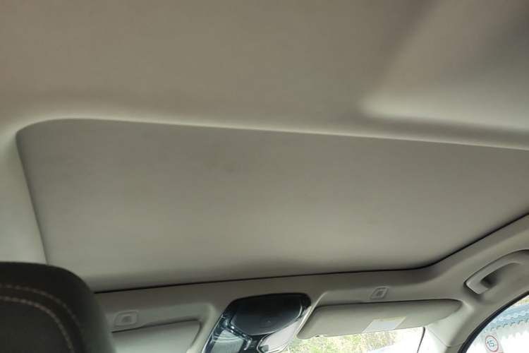 Used BMW 5 Series 2021 525Li Luxury Package Headliner