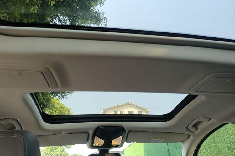 Used BMW 5 Series 2021 530Li Leading Luxury Package Headliner
