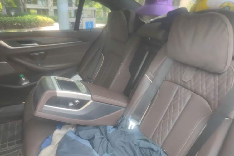 Used BMW 5 Series 2021 530Li Luxury Edition M Sport Package Left Rear Seat