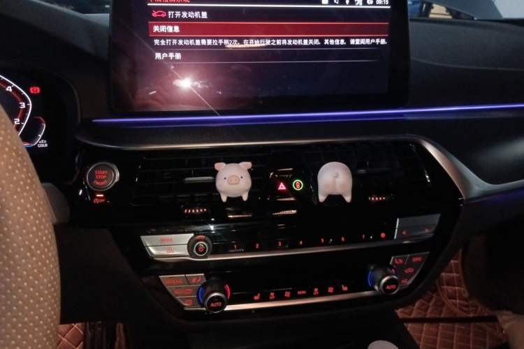 Used BMW 5 Series 2021 530i M Sport Package Audio And AC Panel