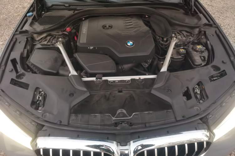 Used BMW 5 Series 2021 530Li Luxury Edition M Sport Package Engine Bay