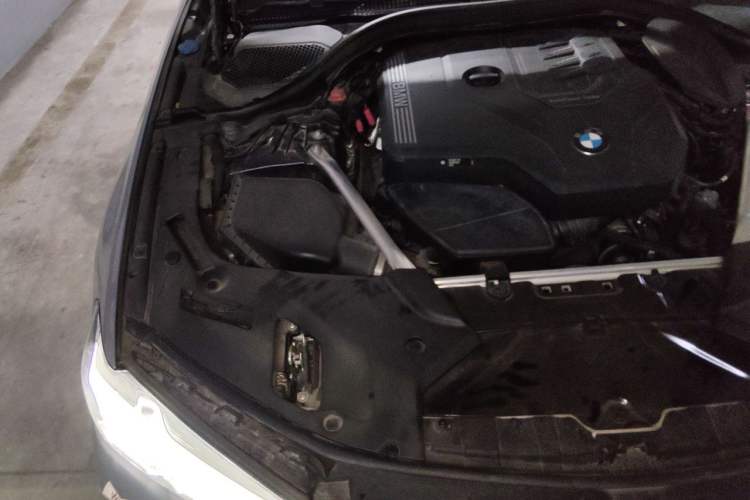 Used BMW 5 Series 2021 530Li Luxury Edition M Sport Package Engine Bay Right